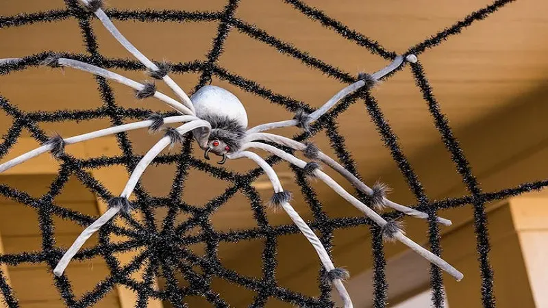 Giant Spider Web Decoration: A Complete Guide for Creative and Spooky Decor
